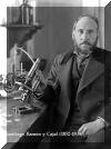 Santiago Ramn y Cajal (1852-1934)