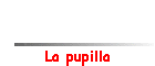 La pupilla