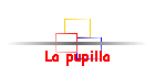 La pupilla