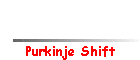 Purkinje Shift