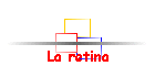 La retina