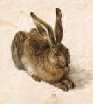 01hare.jpg (142142 byte)